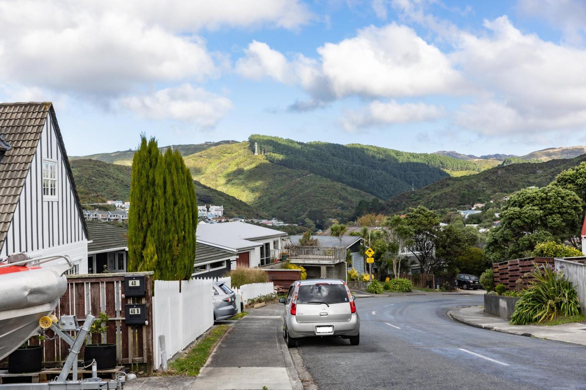 Back Garden Flat With Free On Street Parking And Fiber Wifi - 15 Mins To Ferry, Stadium, Cbd ウェリントン エクステリア 写真