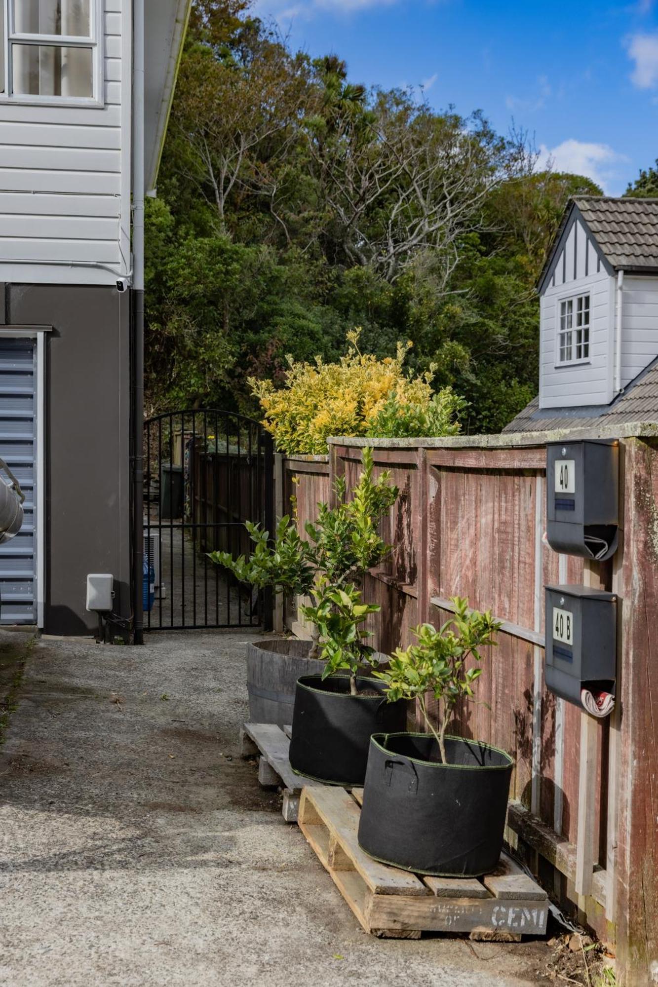 Back Garden Flat With Free On Street Parking And Fiber Wifi - 15 Mins To Ferry, Stadium, Cbd ウェリントン エクステリア 写真